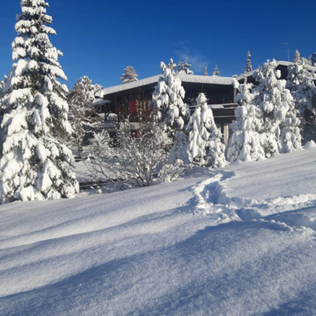 Chalet Karerpass